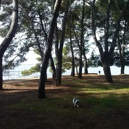Jozefina